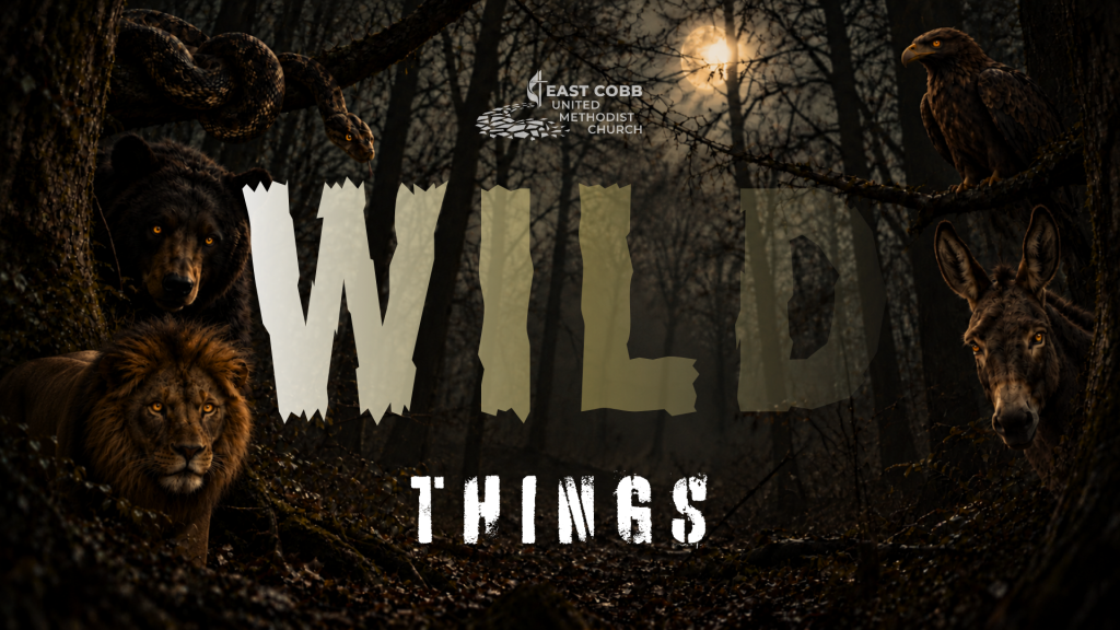 Graphic for East Cobb United Methodist Church titled “WILD THINGS” featuring a snake, bear, lion, eagle, and donkey in a dark forest.